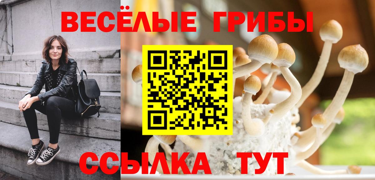 Псилоцибиновые грибы мухоморы Советская Гавань