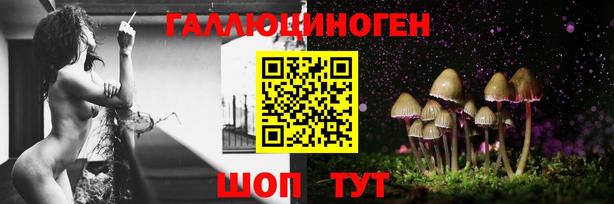 Советская Гавань  Галлюциногенные грибы Cubensis  Псилоцибиновые грибы Psilocybine cubensis  Вход с VPN 